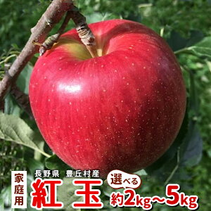 쌧 MB g Iׂ e 2kg 3kg 5kg ƒp  S ь AbvpC W ^g^^ َq P[L 쌧Y Lu Yn t[c ʕ {̉ʕ 
