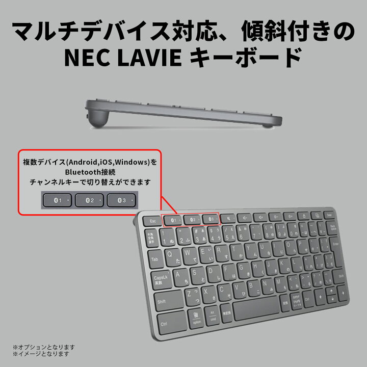 楽天市場】オプションセール!【最大P27%】【公式】 NEC LAVIE 日本 