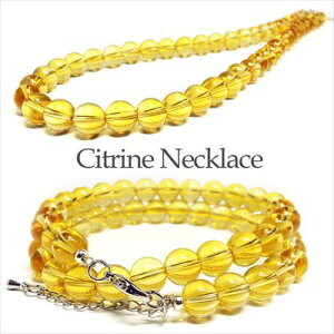 �y�|�C���g10�{�z�V�g�����i�������j �p���[�X�g�[�� �V�R�� �V���[�g �l�b�N���X �i�S���F��42cm�A�W���X�^�[�F5cm�@�΁F8mm)�@����