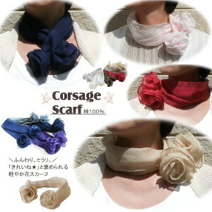 y[֑E{zȖnRT[WXJ[tiS15Fj 蕨 {  Rbg XJ[t  ȒP  ݌ Mtg lbN ^b` E { t  O 