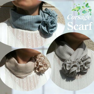 y[֑E{zȖRT[WtXJ[t(S3F) 蕨 {  Rbg XJ[t  ȒP ݌ Mtg lbN ^b` E { t  O 