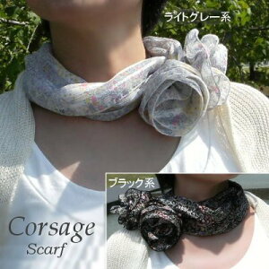 y[֑E{z؂₩ȃRT[W^b`ŏoオRT[WtXJ[tiTekԕjItBX  { t VtH lbN  O 