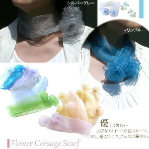 y[֑E{ziCW[[bgRT[WXJ[tinjItBX tH[}  { ti GKX VtH lbN  O ȒP E n Mt