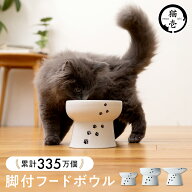 猫壱公式 猫用 脚付フードボウル 食器 ごはんさら ご飯皿 食べやすいさら 陶器 レンジ 猫 ネコ ねこ 猫用…