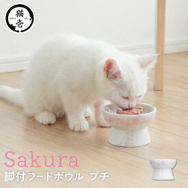 猫壱公式 猫用 脚付フードボウル プチ 限定sakuraデザイン 食器 ごはんさら ご飯皿 食べやすいさら 陶器 レンジ 猫 ネコ ねこ 猫用品 ねこいち