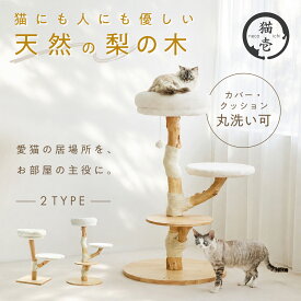 猫壱公式限定 キャットタワー 木製 天然木 据え置き おしゃれ シニア猫 ナチュラルキャットタワー こもれびの木