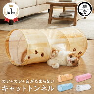 猫壱公式 キャットトンネル 猫玩具 猫おもちゃ 猫壱トンネル ペット トンネル キャットトンネル cat toy …