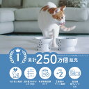 猫壱公式 猫用 脚付ウォーターボウル レギュラー 食器 えさいれ 猫水 水飲みボウル 水飲み 飲みやすいさら 陶器 レンジ 猫 ネコ ねこ 猫用品 ねこいち