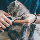 猫壱公式 ストレスなくスパッと切れる猫用爪切り 日本製 ねこつめきり 子猫爪切り 爪きり 痛くない nail clipper cat …