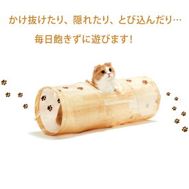 猫壱公式 キャットトンネル 猫玩具 猫おもちゃ 猫壱トンネル ペット トンネル キャットトンネル cat toy 猫トンネル 人気猫とんねる 猫 ネコ ねこ 猫用品 ねこいち