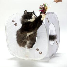 猫壱公式 キャットプレイキューブ 猫玩具 猫おもちゃ キャットプレイキューブ ちぐら 猫 ネコ おもちゃ cat toy カシャカシャ 猫 とんねる猫 ネコ ねこ 猫用品 ねこいち