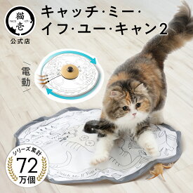 猫壱公式 キャッチ・ミー・イフ・ユー・キャン2 猫玩具 猫おもちゃ キャチミーイフユーキャン2 cat toy キャッチミー 猫 ネコ ねこ 猫用品 ねこいち