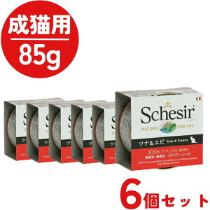 y|Cg10{z y6Zbgz VVA L Lbg [[NbLOEH[^[^Cv ciGr85g 6 Lp EFbgt[h Lbgt[h L ʐH ыʃPA 畆уPA ڂ