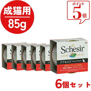 _SALE^ y6Zbgz VVA L Lbg [[NbLOEH[^[^Cv ciGr85g 6 Lp EFbgt[h Lbgt[h L ʐH ыʃPA 畆уPA ڂ̃PA [