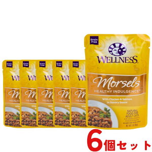 【6個セット】 ウェルネス 猫 ヘルシーインダルジェンス チキン&サーモン 香るとろみスープ仕立て 85g 6個 成猫用 シニア猫用 高齢猫用 老猫 ウェットフード キャットフード 総合栄養食 グ