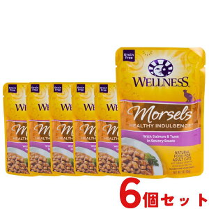【6個セット】 ウェルネス 猫 ヘルシーインダルジェンス サーモン&ツナ 香るとろみスープ仕立て 85g 6個 成猫用 シニア猫用 高齢猫用 老猫 ウェットフード キャットフード 総合栄養食 グレ