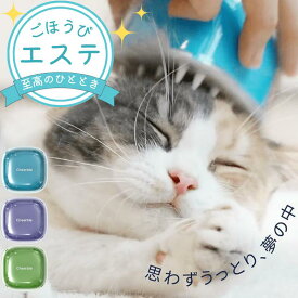 キャンディ ブラシ Candy Brush シーソルトブルー タロパープル 抹茶グリーン 猫用 ブラシ ブラッシング マッサージブラシ