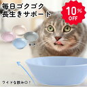 【max1500円OFFクーポン】 水飲み器 猫 ウォーターボウル 猫用 食器 給水器 陶器 おしゃれ 可愛い 水入れ 水飲み 水皿 水飲み皿 日本製 磁器 ネコイロウォーターボウル ［正規品］