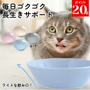 ＼SALE／ 水飲み器 猫 ウォーターボウル 猫用 食器 給水器 陶器 おしゃれ 可愛い 水入れ 水飲み 水皿 水飲み皿 日本製 磁器 ネコイロウォーターボウル ［正規品］