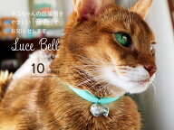 necono 猫 首輪 『 Luce Bell 』 ルーチェ ベル 10-30cm サイズ調整 安全 鈴 軽量 日本製 赤 シルバー 猫…