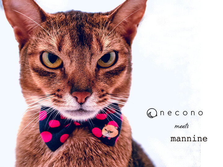 楽天市場 送料無料 Necono ネコノ Mannine Cat Ribbon Necklace 猫 リボン 首輪 安全 おしゃれ ファッション ブランド マンナイン ネックレス 赤 全15色 日本製 高級 かわいい コラボレーション 記念日 ギフト 誕生日に Necono