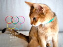 【送料無料】 necono 猫の首輪 『 Luce Bell 』 ルーチェ ベル レディバード 全5色 子猫 10-30cm サイズ調整 安全 鈴 軽量 日本製 赤 ピンク シルバー てんとう虫 猫用品