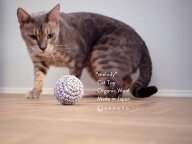 necono - ネコノ - 『 ボールのおもちゃ メロディー 』 全3色 ブルー ピンク ホワイト 猫おもちゃ コロコ…