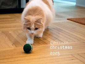necono - ネコノ -　ねこのおもちゃ 『 Holly Chime/ホーリーチャイム 』 鈴入り 2種類 オーガニックウール プレゼント 手土産 クリスマス おしゃれ ギフト 日本製 猫雑貨 猫用品 ペット用品