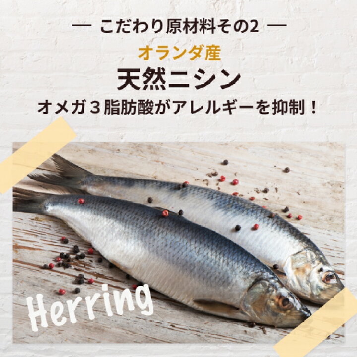 楽天市場】ファインペッツ FINEPET 