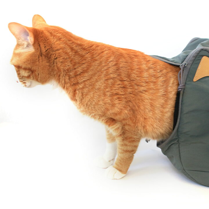 楽天市場】CAT 2WAY BOSTON BAG キャット2WAYボストンバッグ : 保護猫 