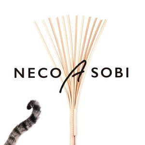 L炵 Lpi LԖ{v S̍Y܂єz 10NꏏɗVׂ邨 炶 肷 yy Lp Lp {{v Lԃv[g ˂炵 y