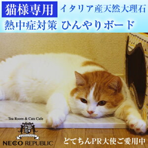 ybg{[h MǑ΍ObY 嗝΃ybg{[h(GIFU) Ђ ΍ MǗ\h ybg Ђ }bg ybg L lR ˂ 