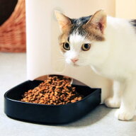 【ネコリパ会員】毎月1500円保護猫活動に！保護猫活動の助けになります！殺処分ゼロに向けて新しい猫助け…