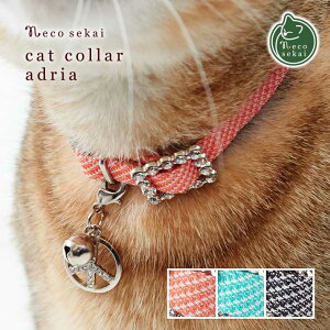 yL̎ցzMODERNO LbgJ[^AhAyLpi^IWiցzyL  LJ[ `[t Z[teB[obN S  ˂ lR z