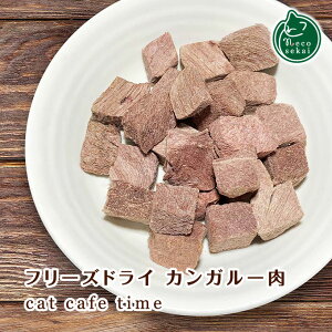 necosekai (lRZJC)LbgJtF^C t[YhC JK[yLpzy XibN g[c W[L[ t[h Y L ˂ lR z