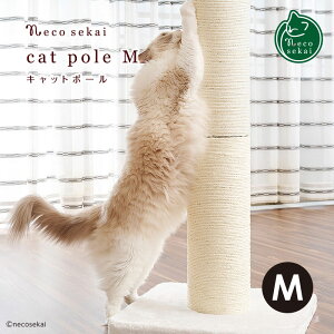 necosekai lRZJC Lbg|[ MyLpi^IWi܂Ƃzy߂Ƃ cgM ߂݂ ܖ ܌   |[ ˂ lR L z