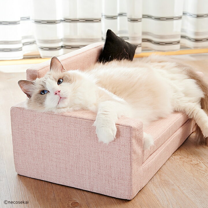 楽天市場】necosekai ネコセカイ ソファスタイルベッド【猫用品 
