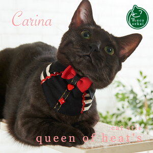 yL̎ցzCarina LbgX^C^queen of heat'siNC[Iun[cjyLpi^IWiցzyL  LJ[ LEGA LbgJ[ LbgEGA nhCh S  