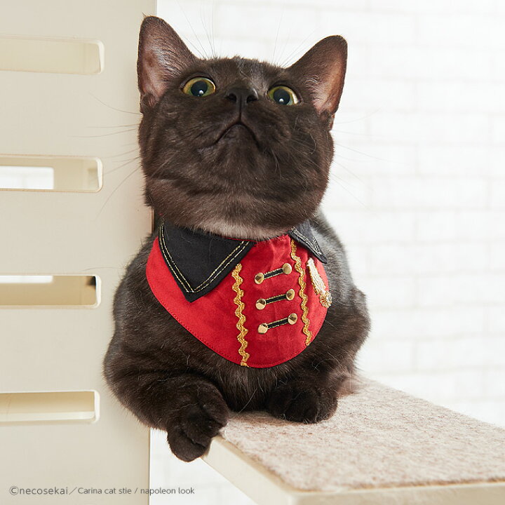 楽天市場 猫の首輪 Carina キャットスタイ Napoleon Look ナポレオンルック 猫用品 オリジナル首輪 猫 首輪 猫カラー 猫ウエア キャットカラー キャットウエア ハンドメイド 安全 可愛い 高級 ねこ ネコ Necosekai 楽天市場店