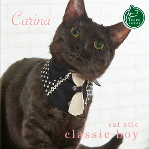 yL̎ցzCarina LbgX^C^classic boyiNVbN{[CjyLpi^IWiցzyL  LJ[ LEGA LbgJ[ LbgEGA nhCh S   