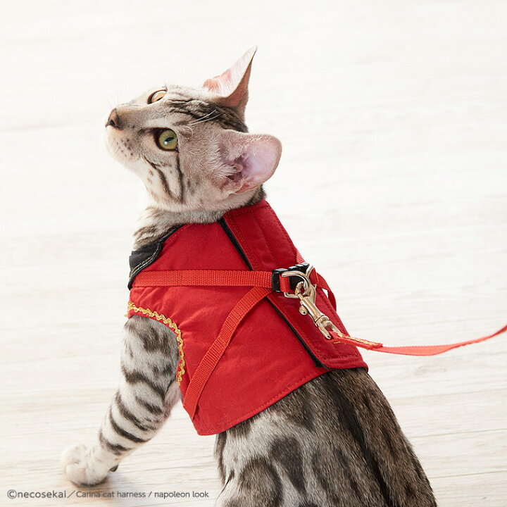 楽天市場 本州 四国 送料無料 猫用ハーネス Carina キャットハーネス Napoleon Look ナポレオンルック 猫 用品 オリジナルハーネス リード付 猫 ハーネス 猫ハーネス 猫ウエア キャットウエア ハンドメイド ベスト 可愛い 高級 ねこ ネコ Necosekai