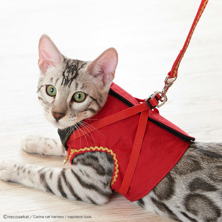 楽天市場 本州 四国 送料無料 猫用ハーネス Carina キャットハーネス Napoleon Look ナポレオンルック 猫 用品 オリジナルハーネス リード付 猫 ハーネス 猫ハーネス 猫ウエア キャットウエア ハンドメイド ベスト 可愛い 高級 ねこ ネコ Necosekai
