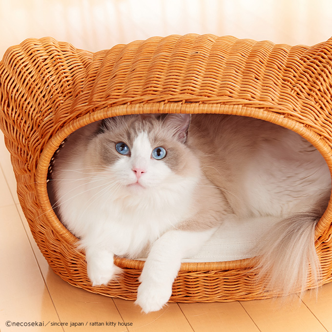 超小型PC  　籐　ベッド　シンシアジャパン　ラタンキティハウス ハウス　愛猫 猫 猫用品
