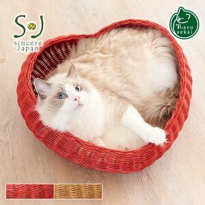 yzSincere Japan ^n[gVFCvxbhyLpi^^xbhzyLxbh Lbgxbh ybgxbh L\t@ LbgnEX ybg\t@ nEX xbg ِi 