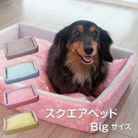 ペットベッド クッション 角型 ボリューム かわいい 犬・猫用 小型犬 中型犬 洗えるスクエアベッド Bigサイズ