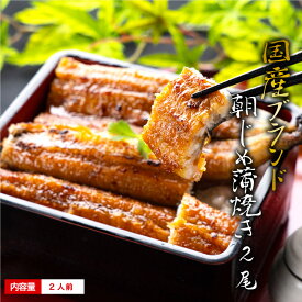 国産 うなぎ 蒲焼き 4/30まで母の日 早割 ギフト 朝じめ活うなぎ 蒲焼き 2尾 約280〜330g ＼すぐ食べれる冷蔵便／ 焼き立て冷蔵発送 2人前 食べ物 誕生日 お祝い 内祝い お返し 結婚内祝い 蒲焼き 国内産 ウナギ 鰻 ギフト 60代 70代 80代 長蒲焼2尾 出産内祝 プレゼント