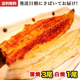 国産うなぎ 朝じめ活うなぎ 蒲焼き3尾・白焼き1尾 合計約560～600g 発送日に焼き上げ発送 ［3-4人前］ 食べ物 誕生日 お祝い 内祝い お返し 結婚内祝い 蒲焼 蒲焼き 国内産 食品 土用丑 うなぎ 国産 ウナギ 鰻 プレゼント 送料無料 グルメ 冷蔵 うなぎ蒲焼 父の日 ギフト