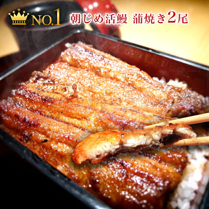 楽天市場 国産 うなぎ 蒲焼き 朝じめ活うなぎ 蒲焼き 2尾 約280 300g 発送日に焼き上げ発送 2人前 食べ物 誕生日 お祝い 内祝い お返し 結婚内祝い 蒲焼 蒲焼き 国内産 食品 土用丑 うなぎ 国産 ウナギ 鰻 お歳暮 ギフト プレゼント 送料無料 グルメ 冷蔵 うなぎ
