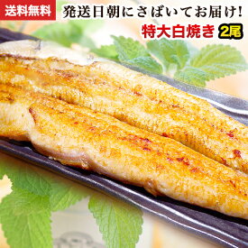 楽天市場 退職祝い 父 食品 の通販