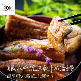 国産 うなぎ 蒲焼き お歳暮 ギフト 朝じめ活うなぎ 特大蒲焼き 2尾 約360〜400g 2-3人前 食べ物 誕生日 お祝い 内祝い お返し 結婚内祝い 蒲焼 国内産 食品 ウナギ 鰻 うなぎ蒲焼 長蒲焼2尾セット 60代 70代 出産内祝 敬老の日 プレゼント ギフト 年末年始